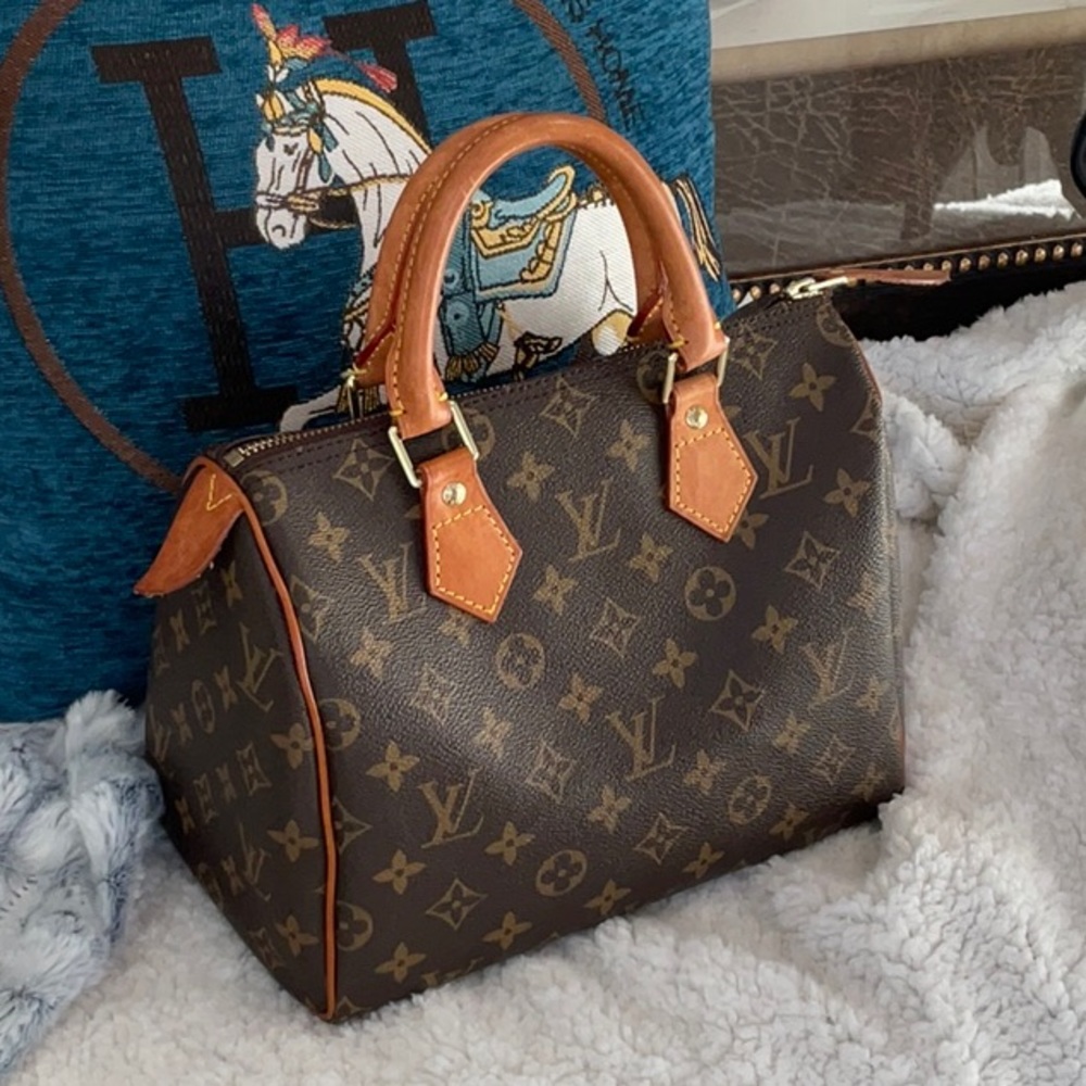 Louis Vuitton Brown Monogram Bag